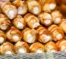Como fazer cannoli